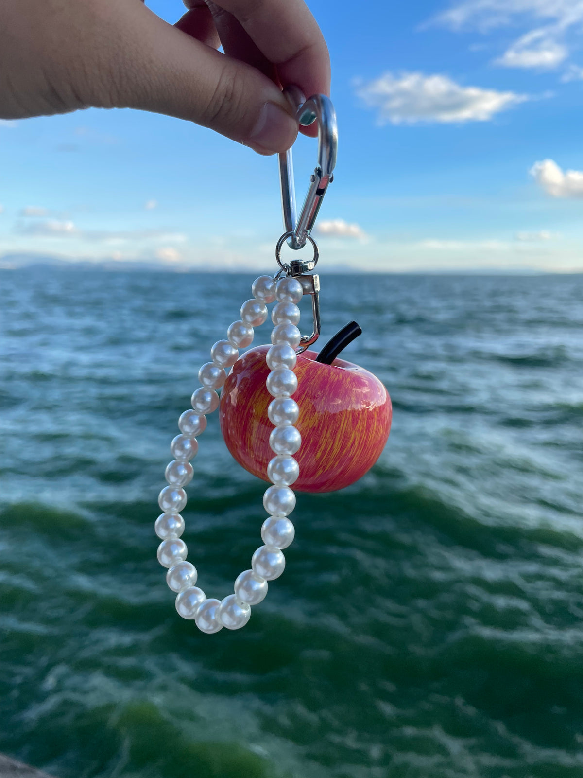 Fruit keychains, various shapes, apple, blueberry, strawberry, orange, cherry, avocado