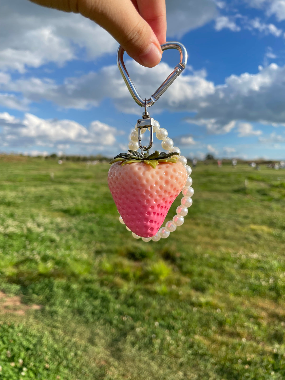 Fruit keychains, various shapes, apple, blueberry, strawberry, orange, cherry, avocado